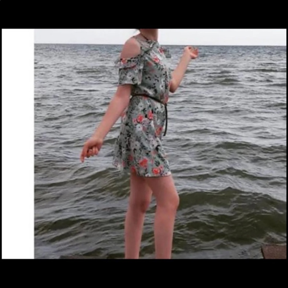 Dress - Picture 2 of 2
